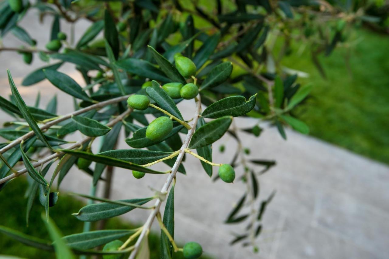 Olive 302 Daire Peraía Dış mekan fotoğraf